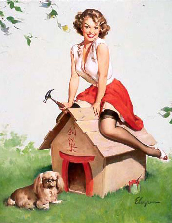 狗巢 pin-up